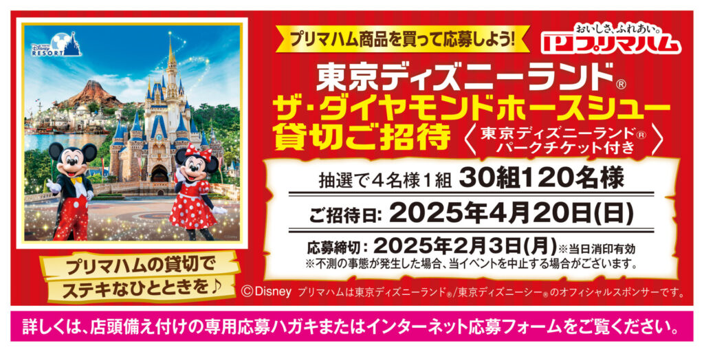 ディズニーランド ディズニーシー チケット 2名様 ディズニーランド ディズニーシー チケット 2名様